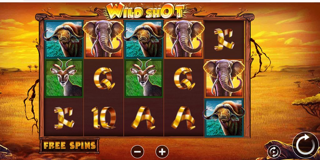 Wild shot slot